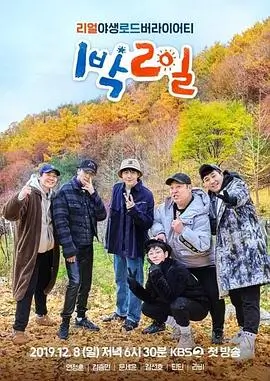综艺衍生橘子汽水年鉴的条目封面与片种标签